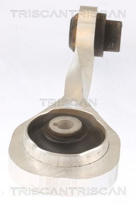 Variklio montavimas TRISCAN 8505 10111