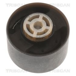 Variklio montavimas TRISCAN 8505 10113