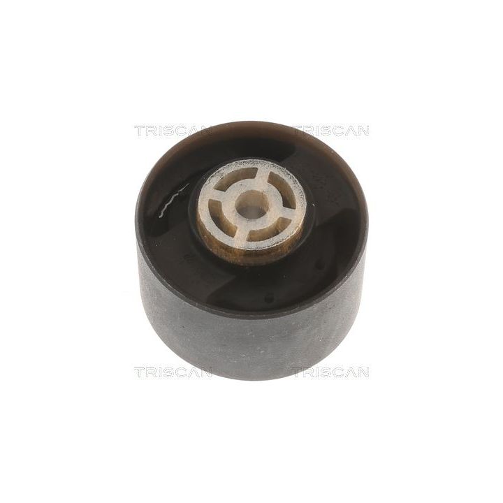 Variklio montavimas TRISCAN 8505 10113