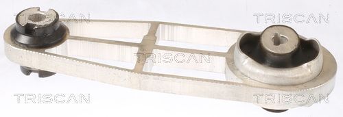 Variklio montavimas TRISCAN 8505 10114