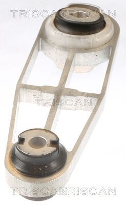 Variklio montavimas TRISCAN 8505 10114