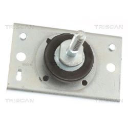 Variklio montavimas TRISCAN 8505 10116