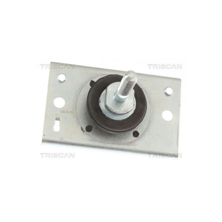 Variklio montavimas TRISCAN 8505 10116