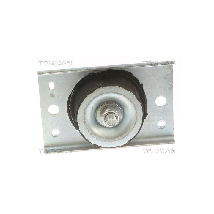 Variklio montavimas TRISCAN 8505 10116