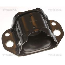 Variklio montavimas TRISCAN 8505 10117