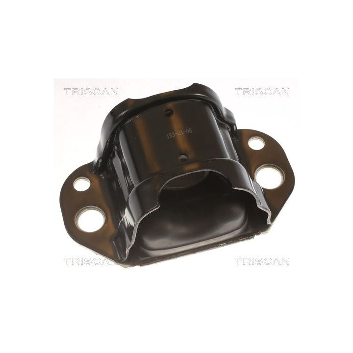 Variklio montavimas TRISCAN 8505 10117