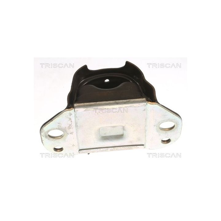 Variklio montavimas TRISCAN 8505 10117