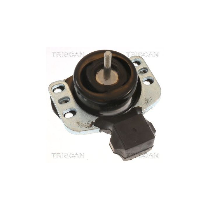 Variklio montavimas TRISCAN 8505 10118