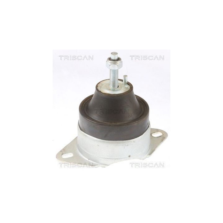Variklio montavimas TRISCAN 8505 10119