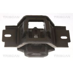 Variklio montavimas TRISCAN 8505 10123