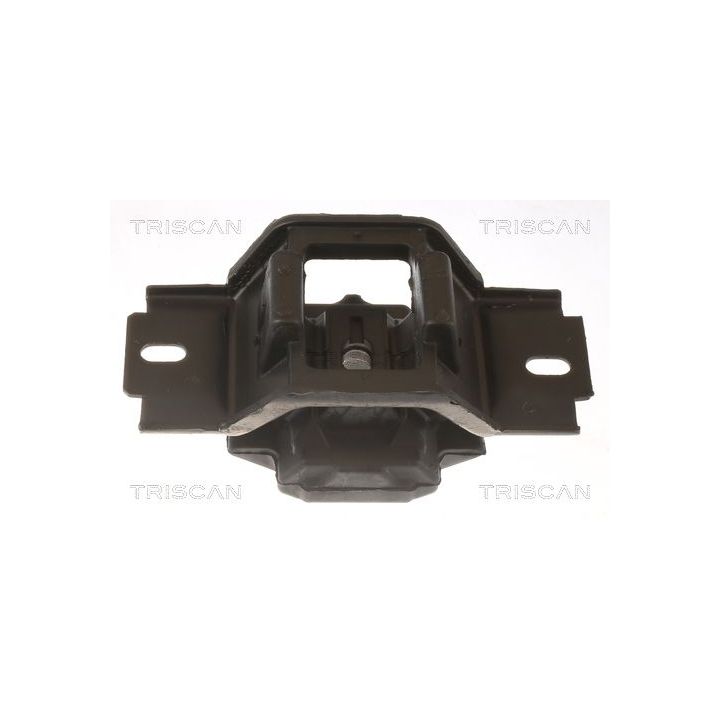 Variklio montavimas TRISCAN 8505 10123