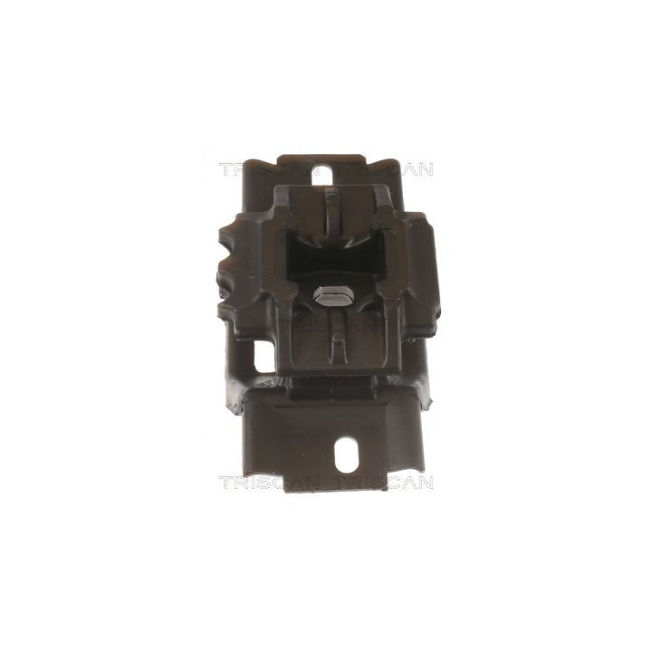 Variklio montavimas TRISCAN 8505 10123