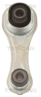 Variklio montavimas TRISCAN 8505 10124