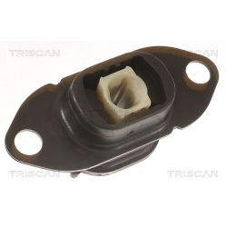 Variklio montavimas TRISCAN 8505 10125