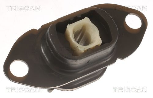 Variklio montavimas TRISCAN 8505 10125