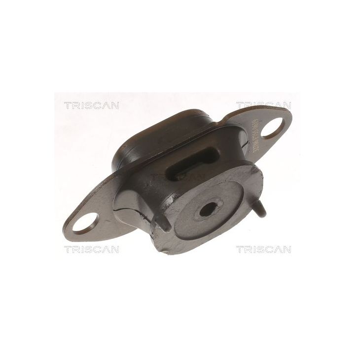 Variklio montavimas TRISCAN 8505 10125