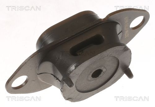 Variklio montavimas TRISCAN 8505 10125