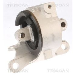 Variklio montavimas TRISCAN 8505 10129