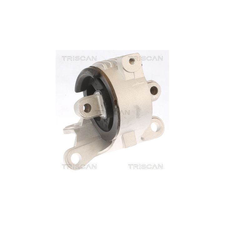 Variklio montavimas TRISCAN 8505 10129