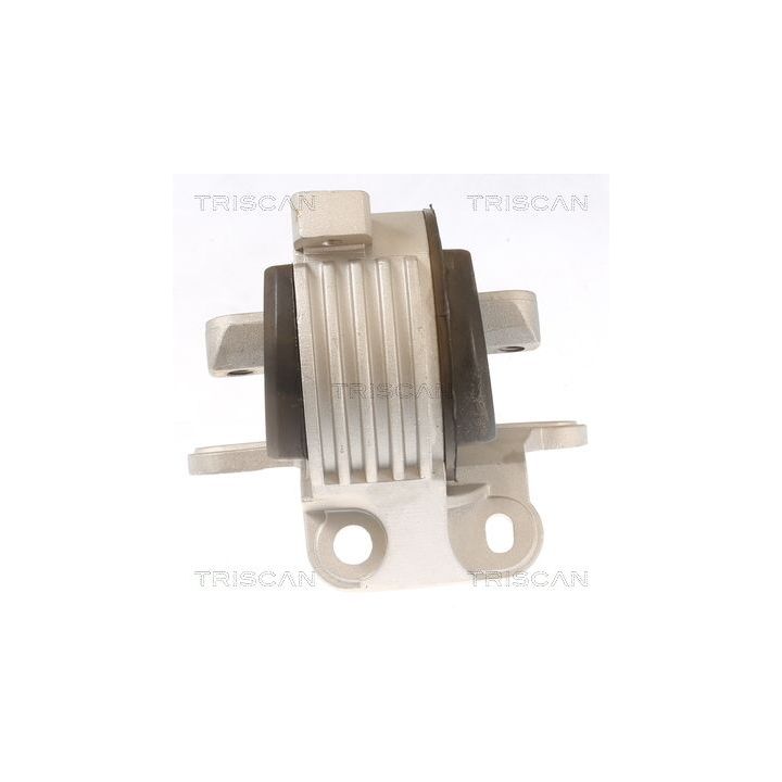 Variklio montavimas TRISCAN 8505 10129