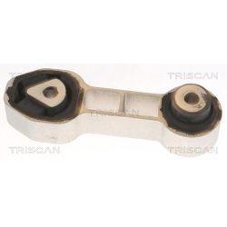 Variklio montavimas TRISCAN 8505 10132