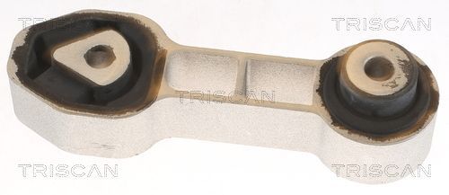 Variklio montavimas TRISCAN 8505 10132