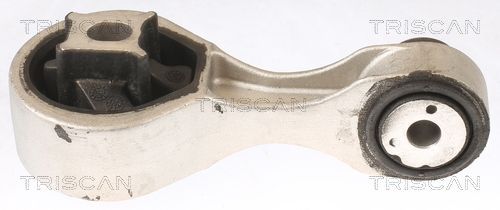 Variklio montavimas TRISCAN 8505 10133