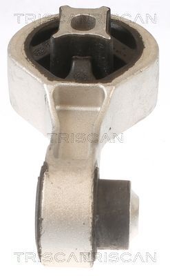 Variklio montavimas TRISCAN 8505 10133
