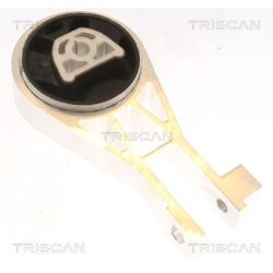 Variklio montavimas TRISCAN 8505 10134
