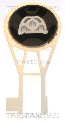 Variklio montavimas TRISCAN 8505 10134