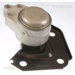 Variklio montavimas TRISCAN 8505 10136