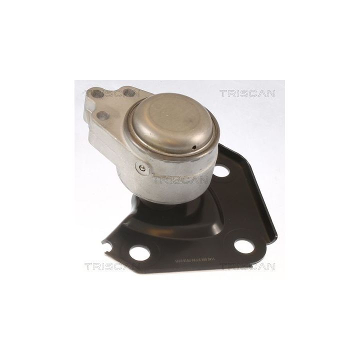 Variklio montavimas TRISCAN 8505 10136
