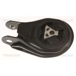 Variklio montavimas TRISCAN 8505 10200