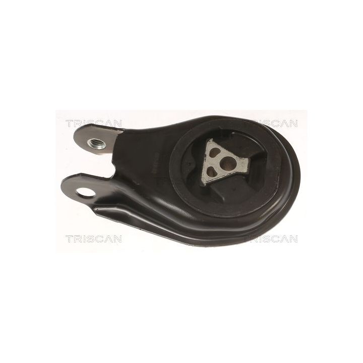Variklio montavimas TRISCAN 8505 10200