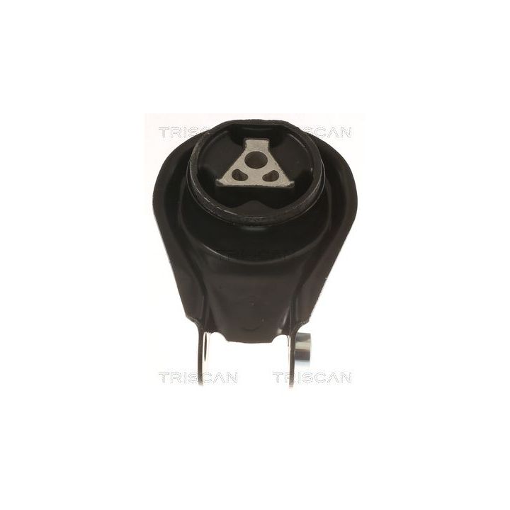 Variklio montavimas TRISCAN 8505 10200