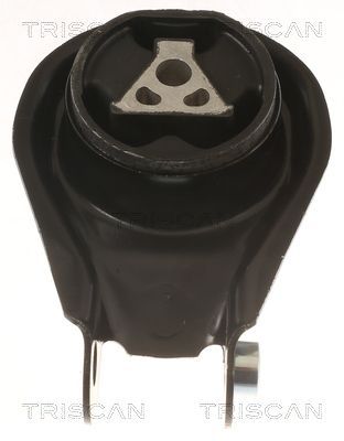 Variklio montavimas TRISCAN 8505 10200