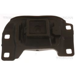 Variklio montavimas TRISCAN 8505 10201