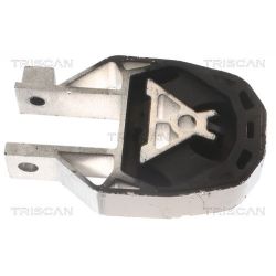 Variklio montavimas TRISCAN 8505 10204