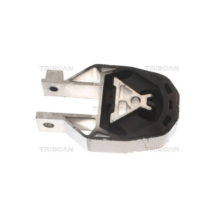 Variklio montavimas TRISCAN 8505 10204