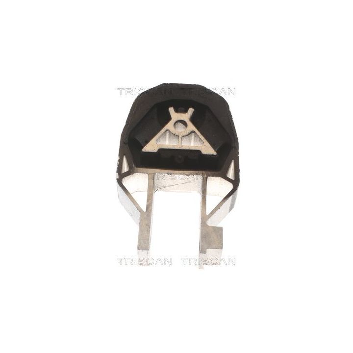 Variklio montavimas TRISCAN 8505 10204