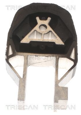 Variklio montavimas TRISCAN 8505 10204
