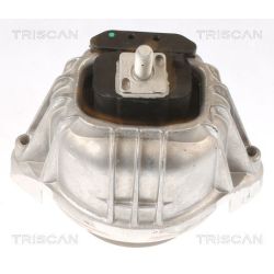 Variklio montavimas TRISCAN 8505 11106