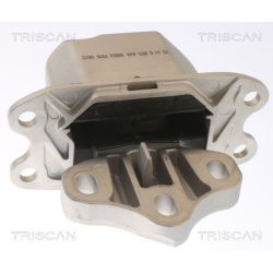 Variklio montavimas TRISCAN 8505 11120