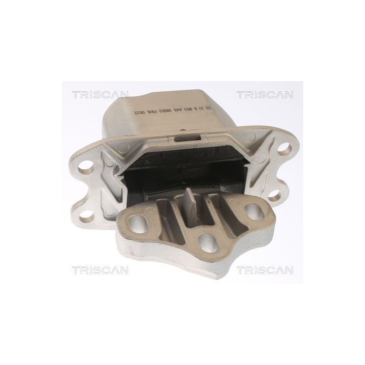 Variklio montavimas TRISCAN 8505 11120