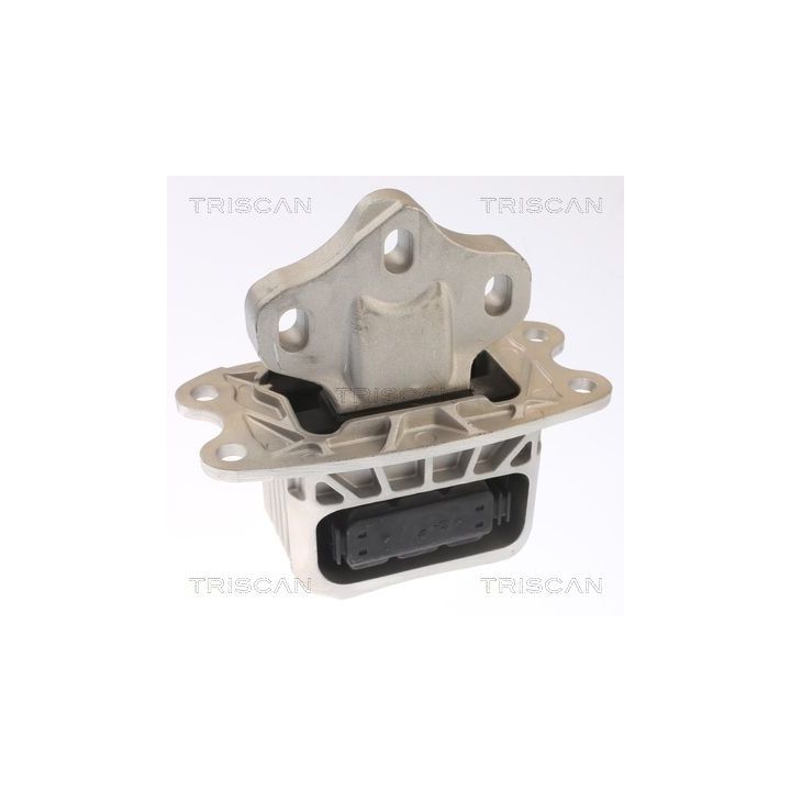 Variklio montavimas TRISCAN 8505 11120