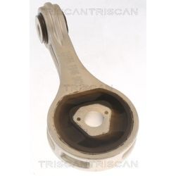 Variklio montavimas TRISCAN 8505 15100