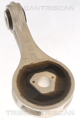Variklio montavimas TRISCAN 8505 15100
