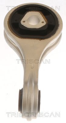 Variklio montavimas TRISCAN 8505 15100
