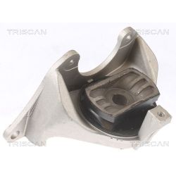 Variklio montavimas TRISCAN 8505 15102