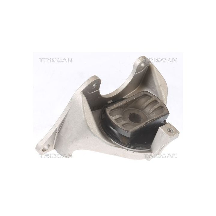 Variklio montavimas TRISCAN 8505 15102